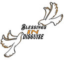 Blessings In Disguise LLC