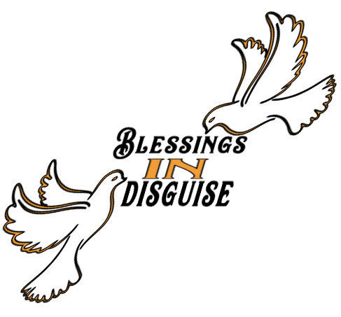 Blessings In Disguise Llc Logo