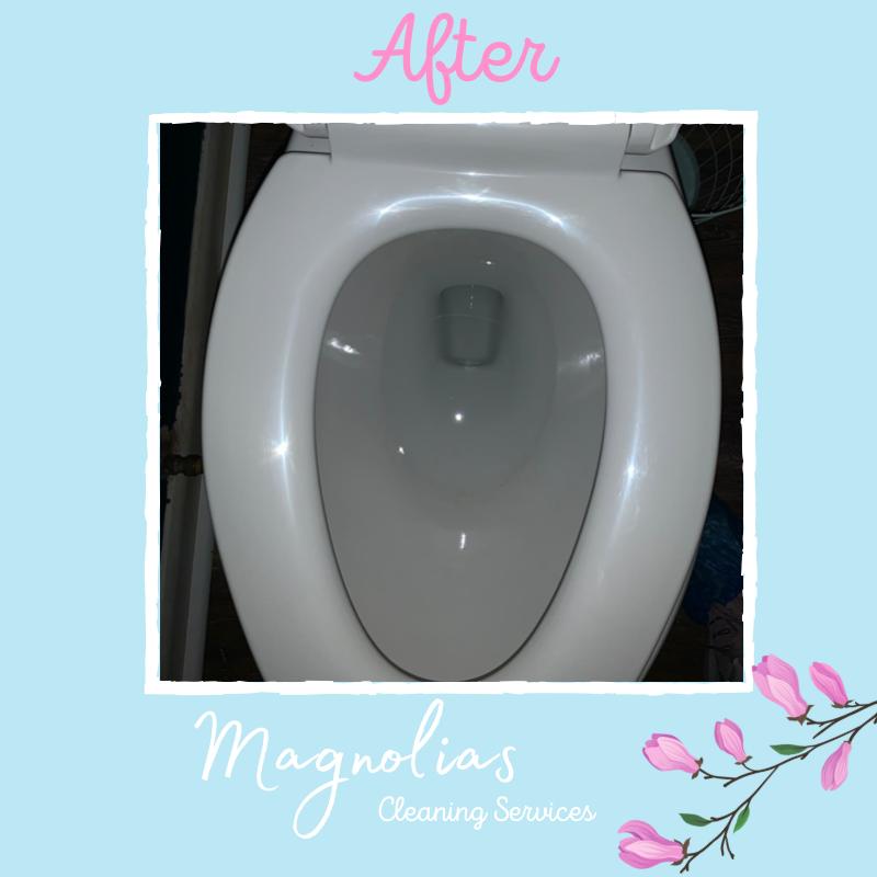 Magnolias Cleaning Services Logo