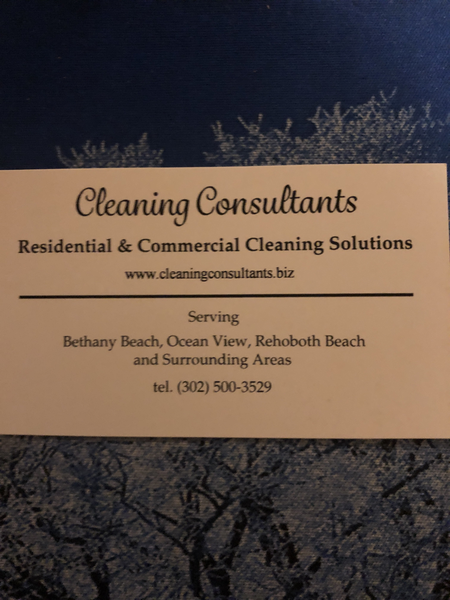 Cleaning Consultants