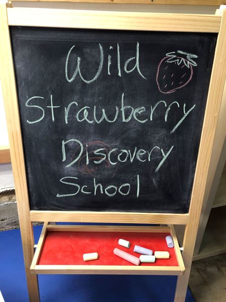 Wild Strawberry Discovery School