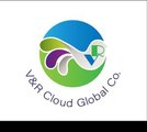 Vrichcloud cleaning services