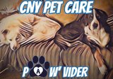 CNY Pet Care Pawvider