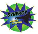 Synergy Karate Academy