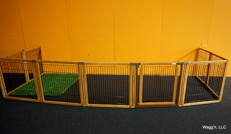 Wagg'n Indoor Dog Park