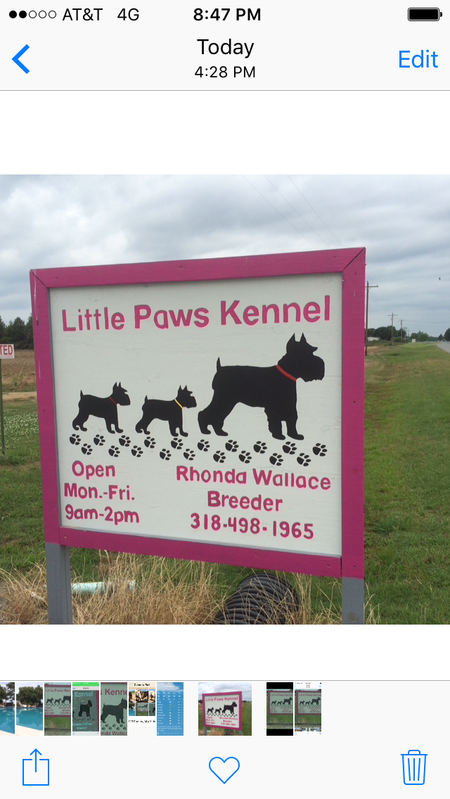 Little Paws Kennel