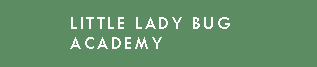 Little Lady Bug Academy Logo