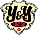 Y&Y K9