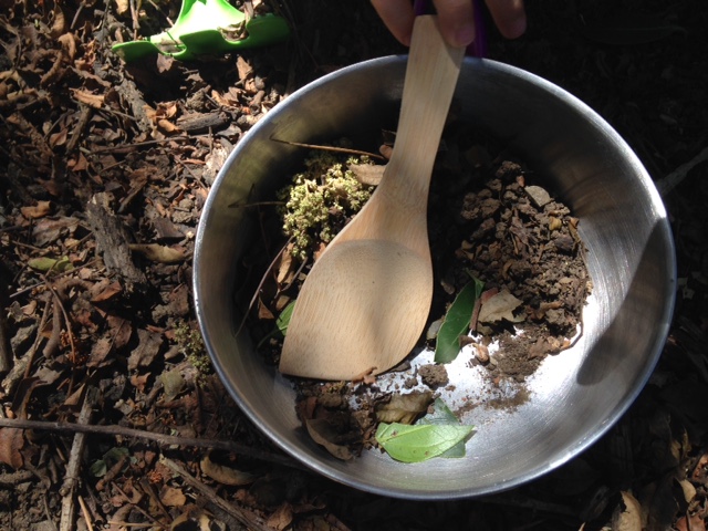 Little Finch Forest School Logo