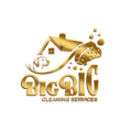 Big Big Cleaning LLC