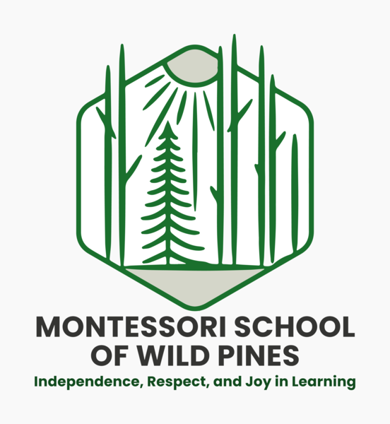 Montessori School Of Washington Park Logo