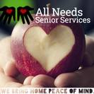All Needs Senior Services