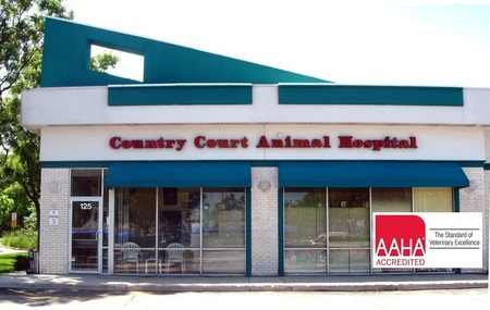 Country Court Animal Hospital