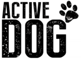 Active Dog Colorado