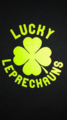 Lucky Leprechauns Interior & Exterior Cleaning Services