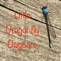 Little Dragonfly Daycare, LLC