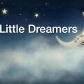 Little Dreamers P.l.l.c