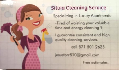 Silvia Cleaning Service