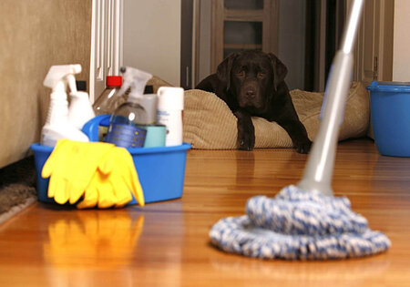 Blackwood Cleaning Services