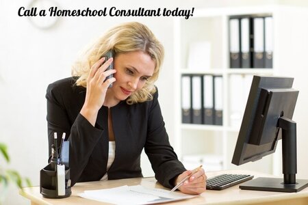 New York Homeschool Consultant