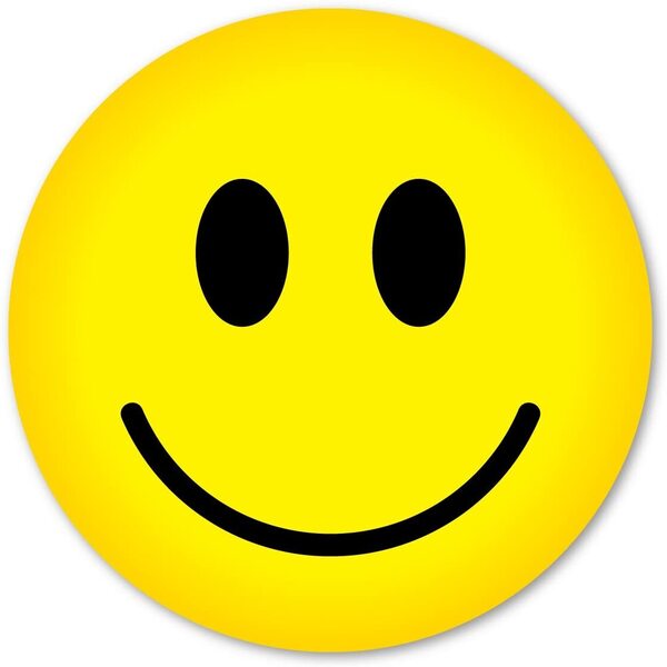 Smileeface Teaches Logo