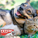 Fetch! Pet Care of the Triangle