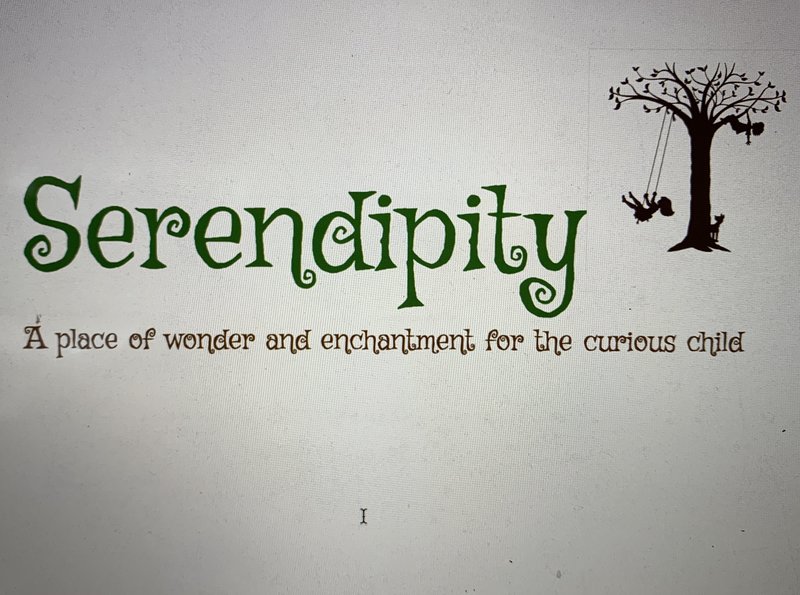 Serendipity Curious Child, Llc Logo
