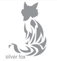 Silver Fox Senior Day Services