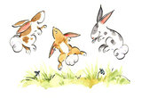 Bouncing Bunnies Family Daycare