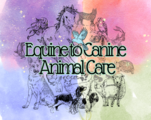Equint to Canine Pet Care