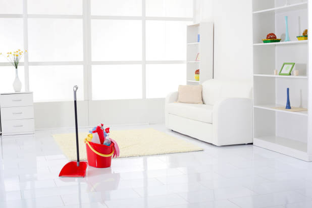 Luz Cleaning Service Logo