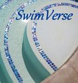 SwimVerse