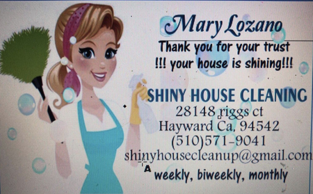 Shiny House Cleaning