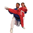 Master Shin's Power Taekwondo Center