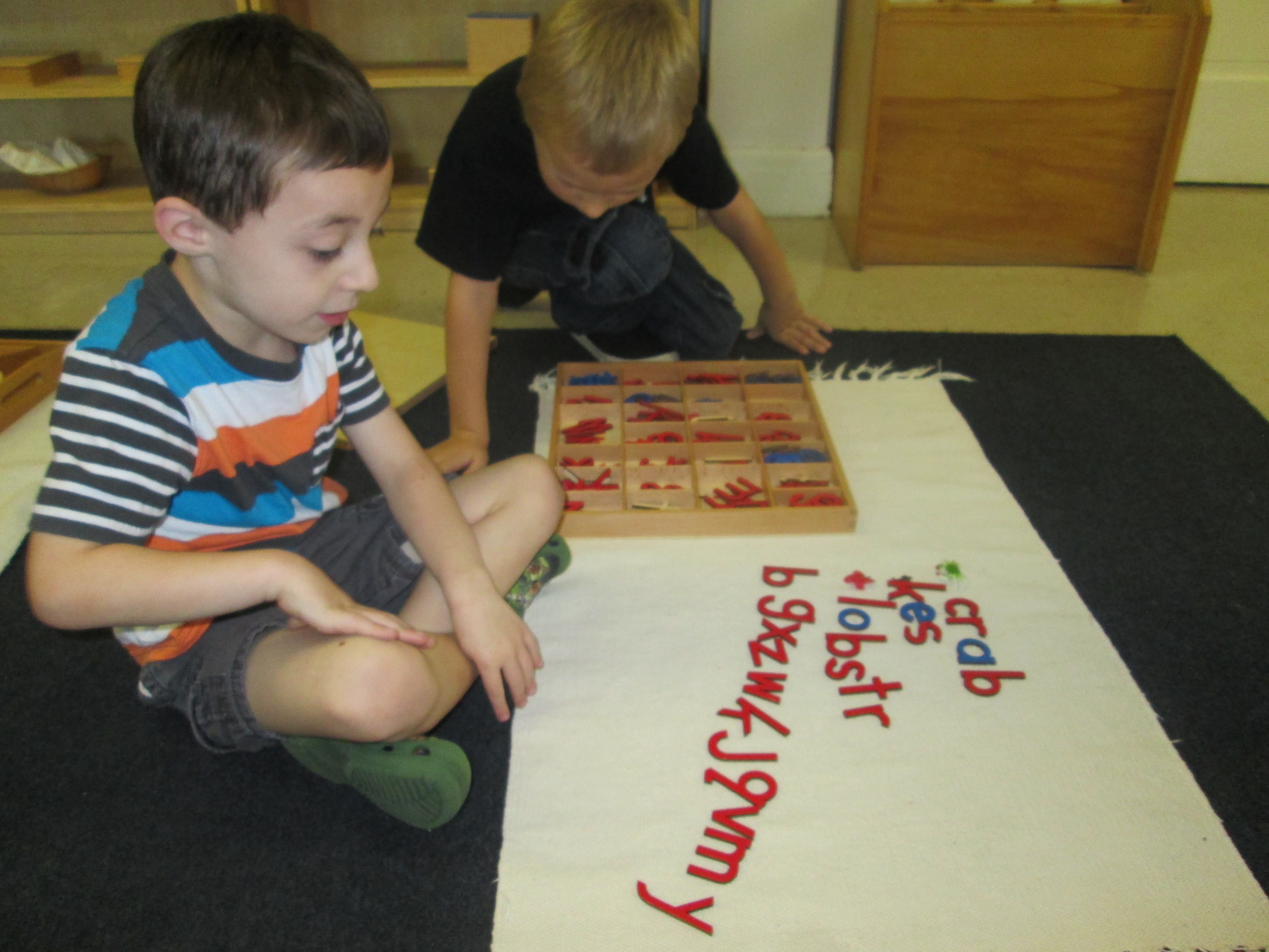 Discovery Garden Montessori Sc Logo