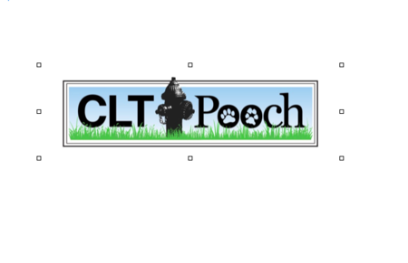 CLT Pooch