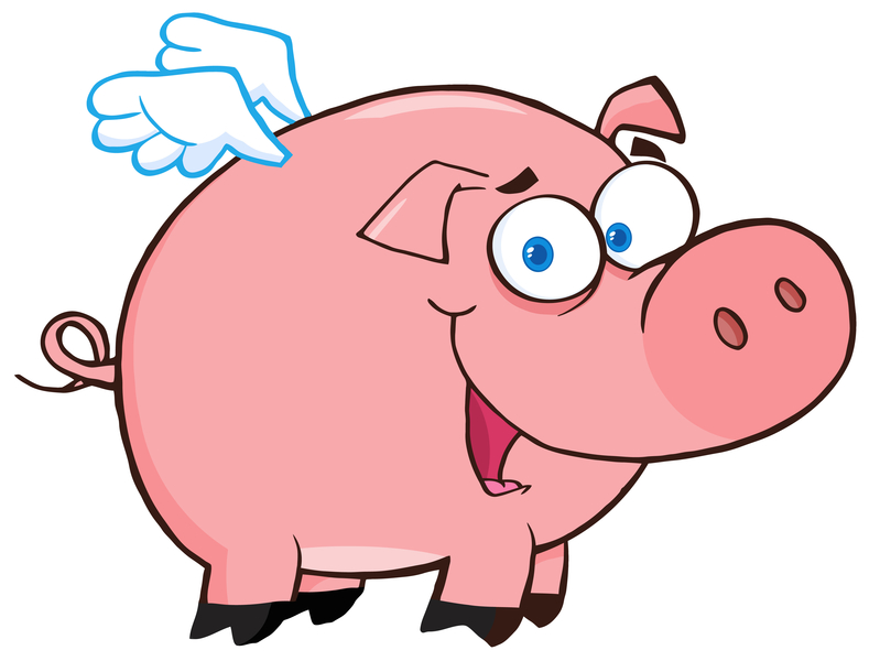 Flying Pigs Preschool And Daycare Logo