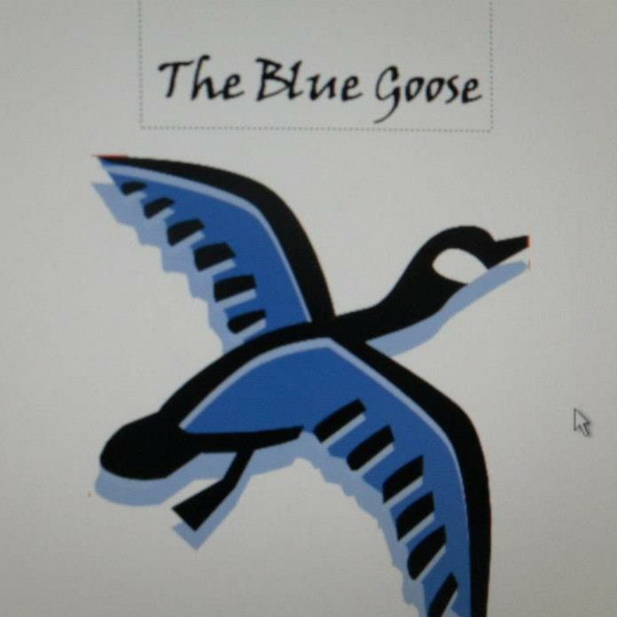 Blue Goose Childrens Learning Center Logo