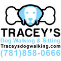 Tracey's Dog Walking & Sitting