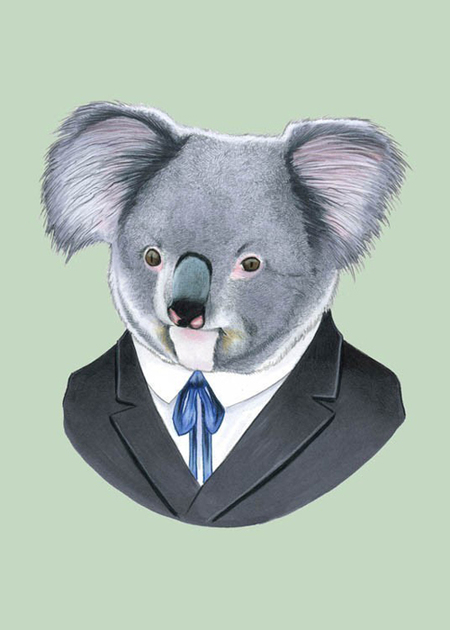 Koalafied Pet Care