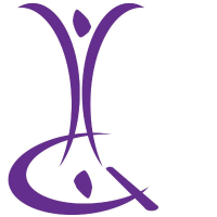 Viking Gymnastics & Dance Logo