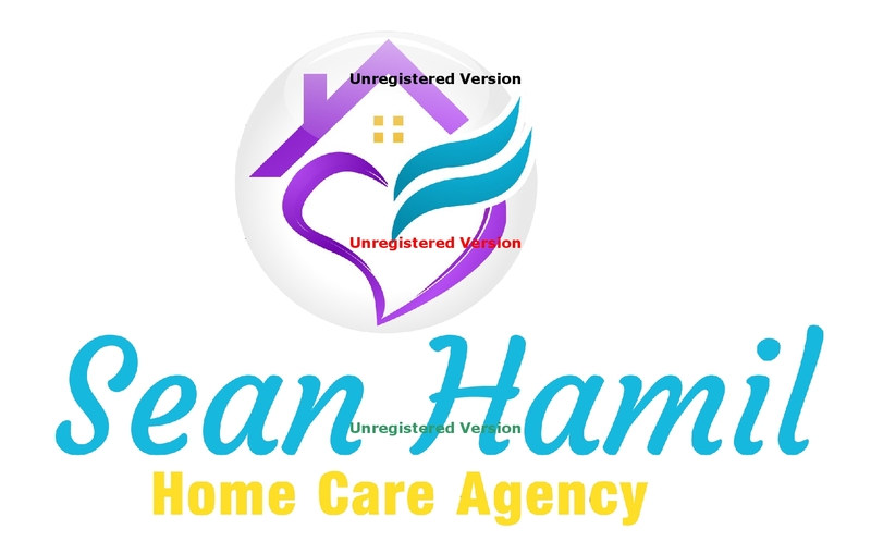 Sean Hamil Home Care Agency Logo