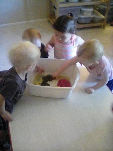 Little Wonders Learning