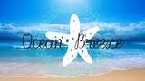 Ocean Breeze Cleaning Service