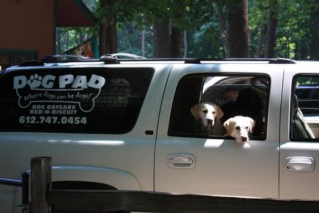 Dog Pad Inc.