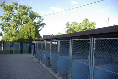 Corrales Kennel