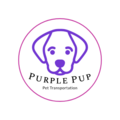 PurplePup Pet Transportation