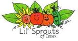 Lil' Sprouts of Essex
