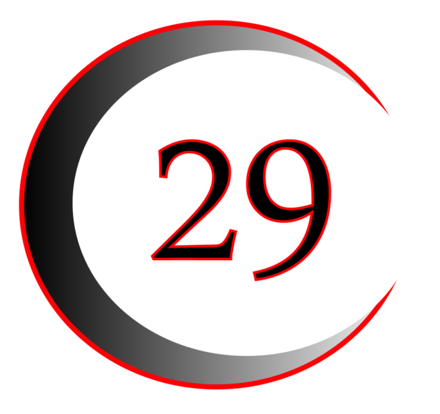 29 Consultants Logo