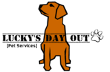 Lucky's Day Out, LLC